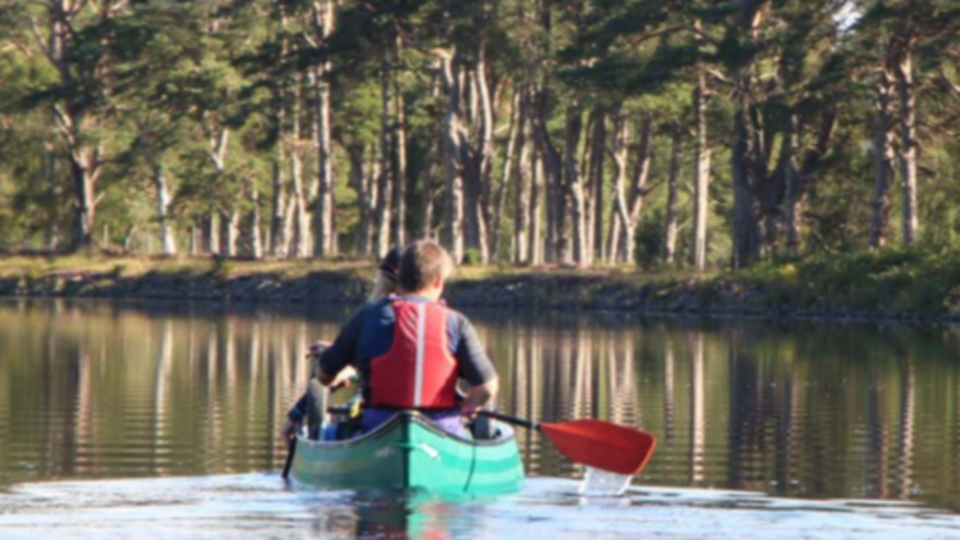 Two people canoeing down a canal with dense trees lining the shore